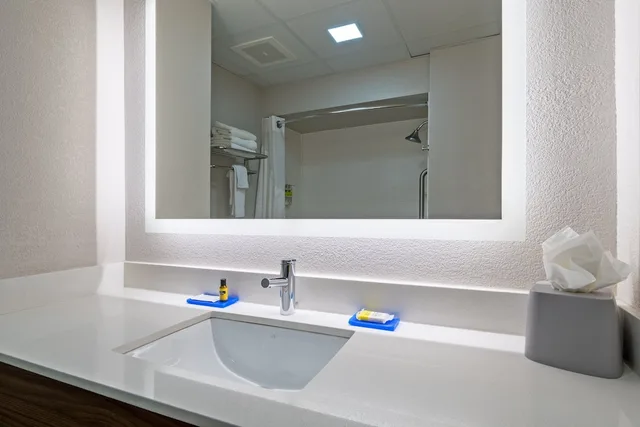 غرفة قياسية بسرير مزدوج، Holiday Inn Express Hotel & Suites Woodbridge 1/1