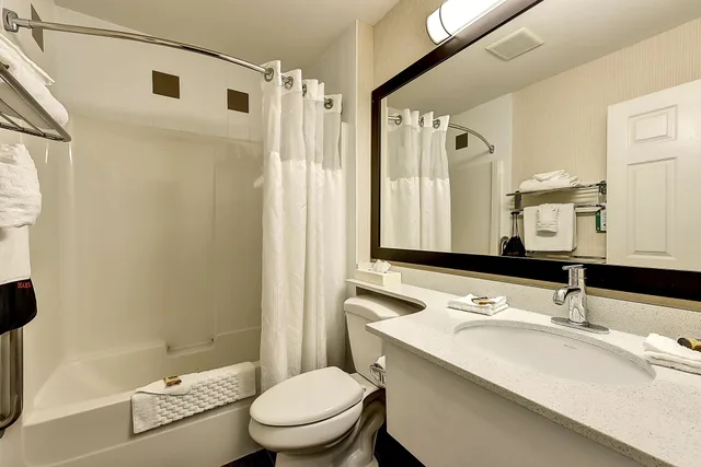 غرفة شهر العسل بسرير كينج بحوض جاكوزي، Best Western Plus Osoyoos Hotel And Suites 6/8