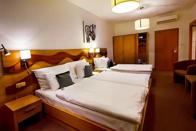 غرفة اقتصادية ثلاثية بسرير مزدوج وسرير فردي، Danubia Gate Hotel 1/1