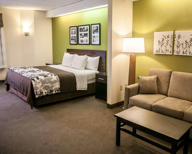 جناح بسرير كينج لذوي الإعاقة، Sleep Inn and Suites Hagerstown 2/2