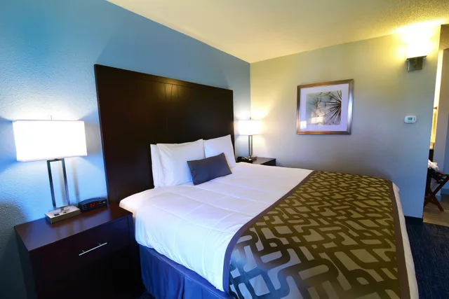 غرفة قياسية بسرير كوين لذوي الإعاقة، Best Western Plus Flint Airport Inn & Suites 3/5