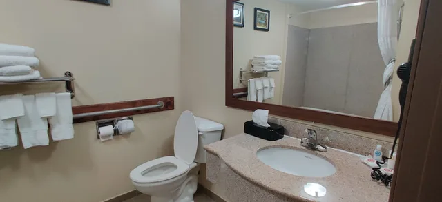 غرفة قياسية بسرير كينج، Comfort Inn & Suites Midway - Tallahassee West 9/10