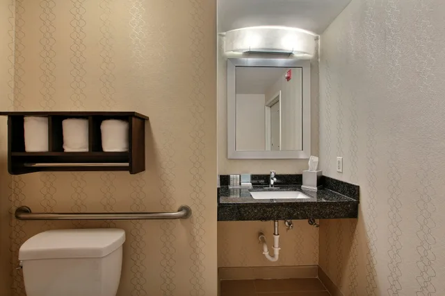 غرفة بسرير كينج لذوي الإعاقة، Hampton Inn Savannah-I-95 Richmond Hill 5/6