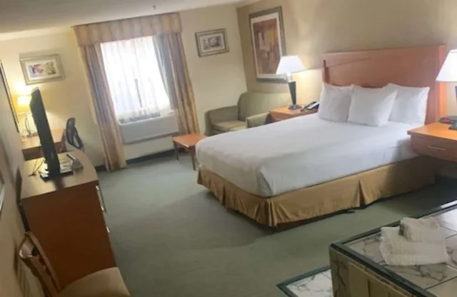 جناح بسرير كينج بحوض جاكوزي، Best Western Davison Inn 5/10