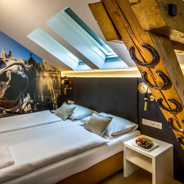 غرفة كلاسيكية بسرير كينج، Boutique Hotel Donauwalzer 10/10
