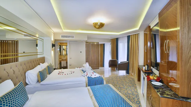 جناح جونيور بسرير كوين وسرير فردي، Beethoven Premium Hotel 2/3