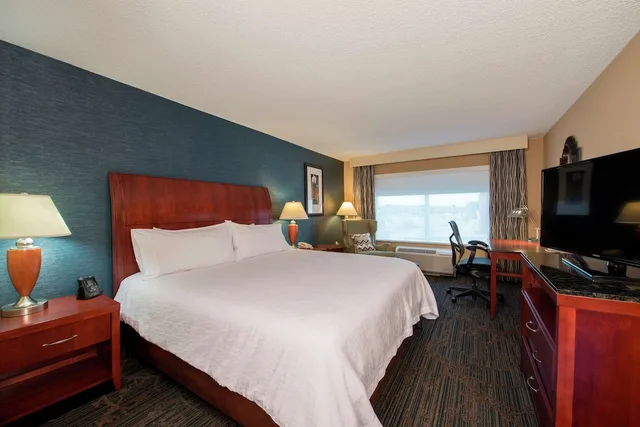 Evolution, Suite, King Bed، Hilton Garden Inn Tupelo Ms 2/3