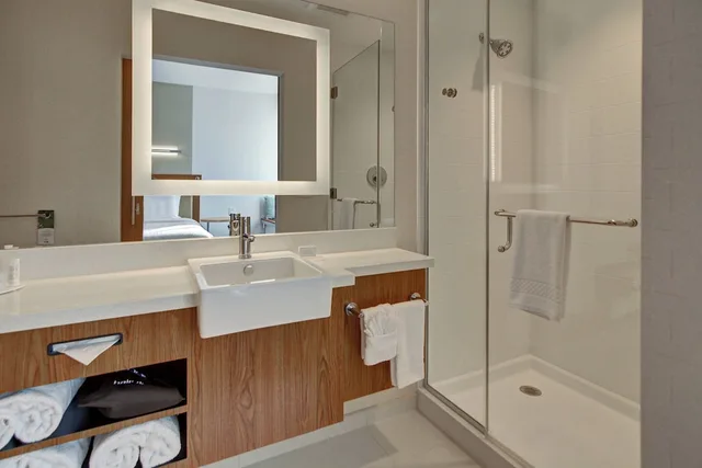 جناح بسرير كينج مع سرير سحّاب إضافي لذوي الإعاقة، SPRINGHILL SUITES DALLAS PLANO/FRISCO 4/5