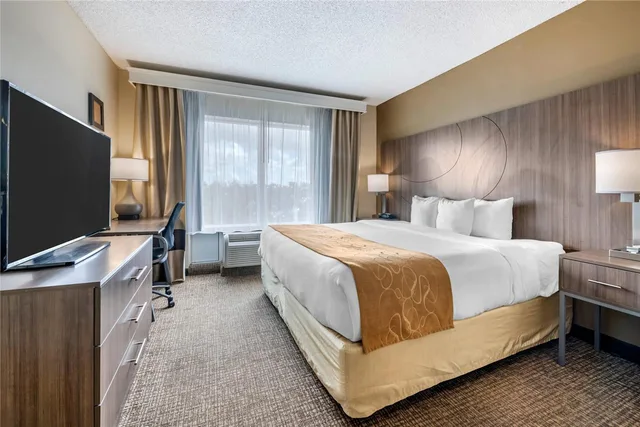 Suite, King Bed, Accessible, Comfort Suites Tamarac Sawgras 1/2