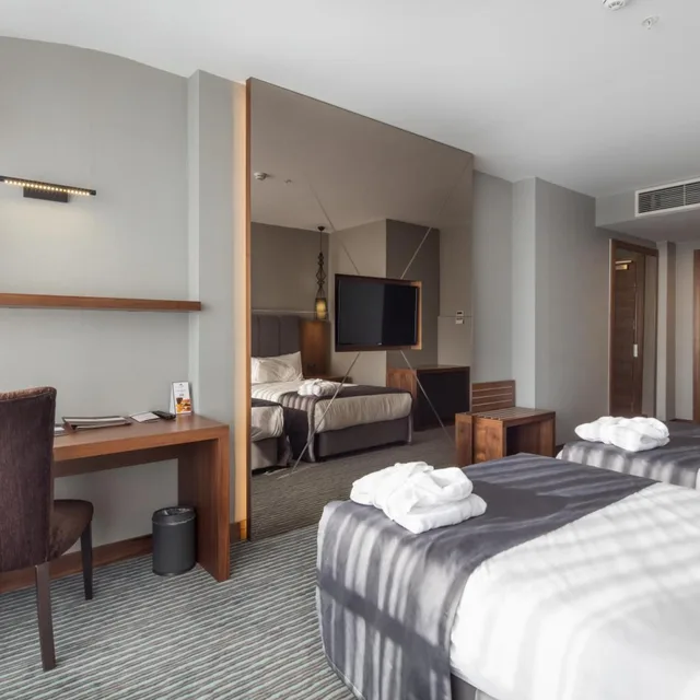 غرفة ديلوكس بسرير مزدوج أو سريرين منفصلين، VOLLEY HOTEL ISTANBUL 6/10