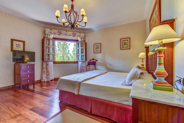 جناح ديلوكس بحوض استحمام، Hotel Spa Villalba - Adults Only 1/1