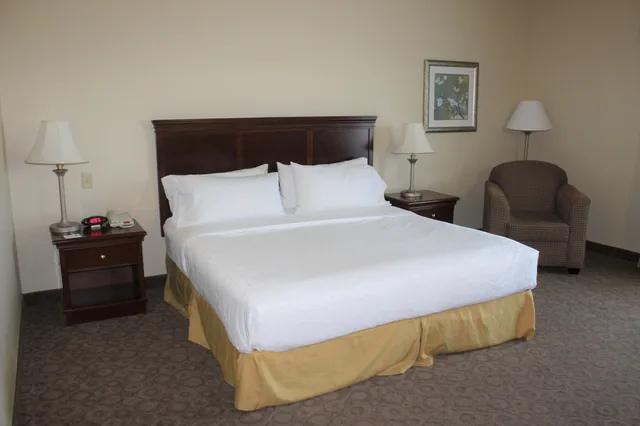 غرفة قياسية بسرير كينج لذوي الإعاقة، Holiday Inn Express Hotel And Suites Cedar Hill 3/9
