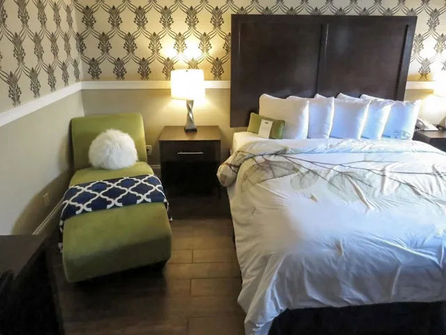 غرفة قياسية بسرير كينج، RODEWAY INN LOGAN INTERNATIONAL AIRPORT 4/7