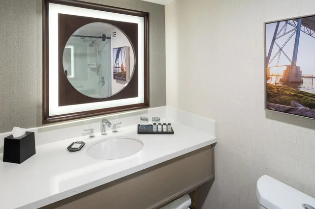 غرفة بسرير مزدوج لذوي الإعاقة، Sheraton Detroit Novi Hotel 3/3