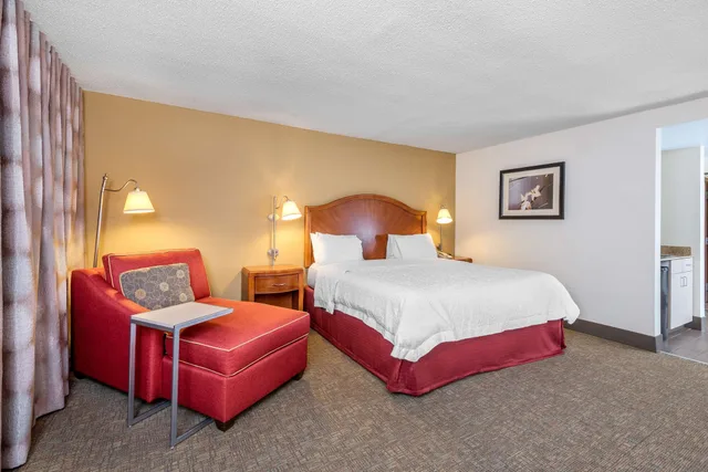 Deluxe, King Bed, Sofa, Hampton Inn Roanoke/Hollins - I-81 2/7