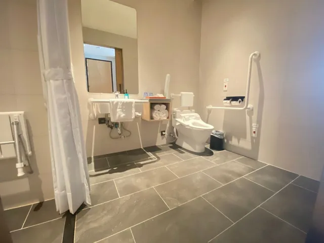 غرفة قياسية بسرير كوين لذوي الإعاقة، Holiday Inn Express Chiayi 6/6