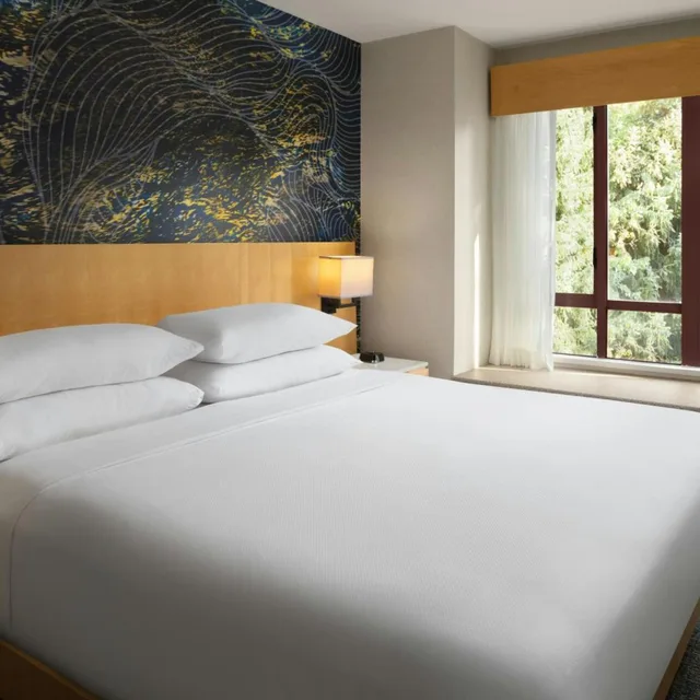 جناح بسرير كينج بإطلالة على الجبل بغرفة نوم واحدة بمطبخ، Delta Whistler Village Suites 1/10