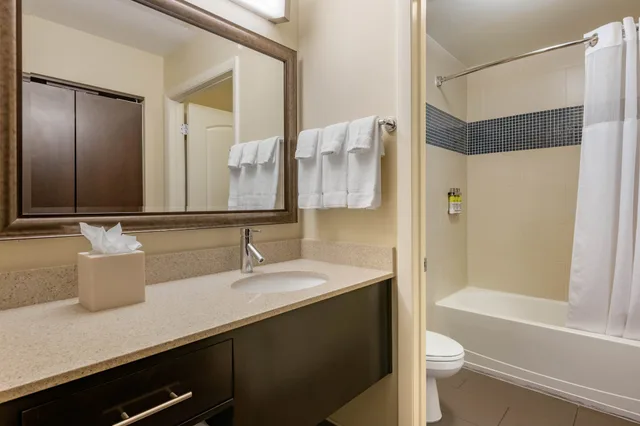 جناح استوديو بسرير كوين بمطبخ، Staybridge Suites St. Petersburg FL 5/5