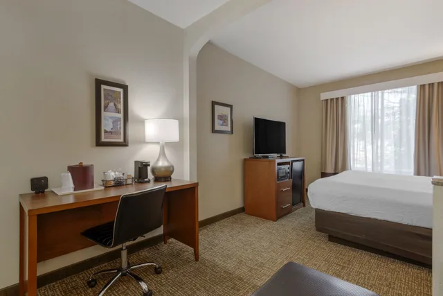 جناح بسرير كينج لذوي الإعاقة، Comfort Suites Columbus State University Area 3/3