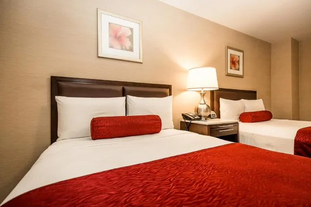 Executive, King Bed, The Belvedere Hotel 1/1