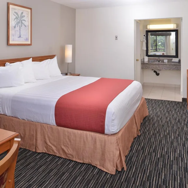 غرفة بسرير كينج لذوي الإعاقة، Pleasant Inn 3/6