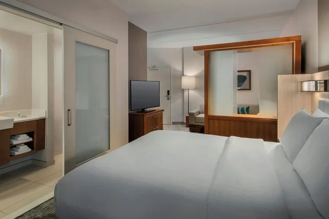 جناح بسرير كينج مع سرير سحّاب إضافي لذوي الإعاقة، SPRINGHILL SUITES MT. LAUREL CHERRY HILL 1/8