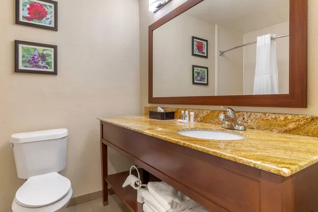 جناح بسرير كينج مع أريكة، Comfort Inn & Suites Temple - Medical Center 6/7