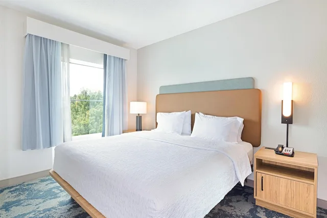 جناح بسرير كينج مع أريكة، Hampton Inn Lawrenceville Duluth 1/6
