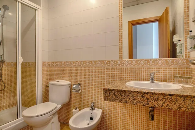 غرفة كلاسيكية، Sercotel Tribuna Malaga 2/3