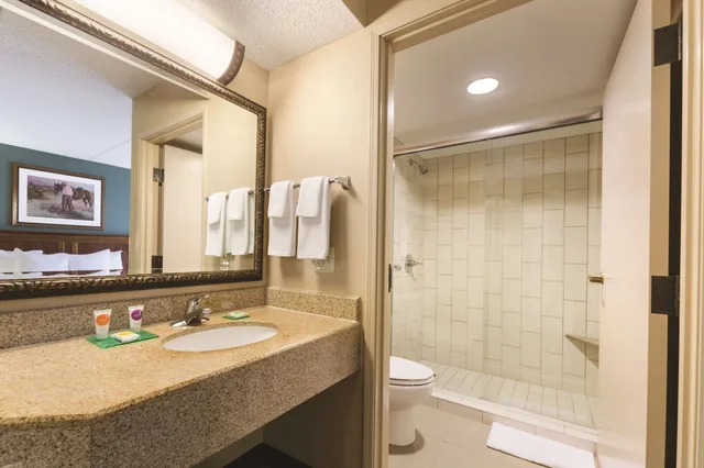 غرفة قياسية بسرير كينج، Hyatt Place Fort Worth Historic Stockyards Formerly Amerisuites Fort Worth 1/1