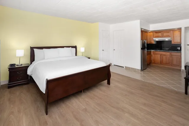 Efficiency, King Bed، Tesla BioHealing Wellness Hotel & Resort, Ramada by Wyndham 1/3
