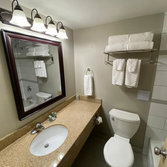 Room, King Bed, Sofa, Best Western St Catharines Hotel Conference Centre 6/7