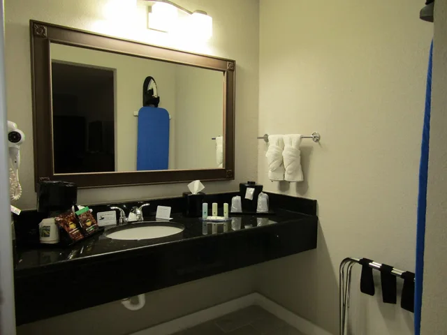 غرفة بسرير مزدوج بإطلالة على البحيرة، Quality Inn & Suites Kissimmee near Main Gate 9/9