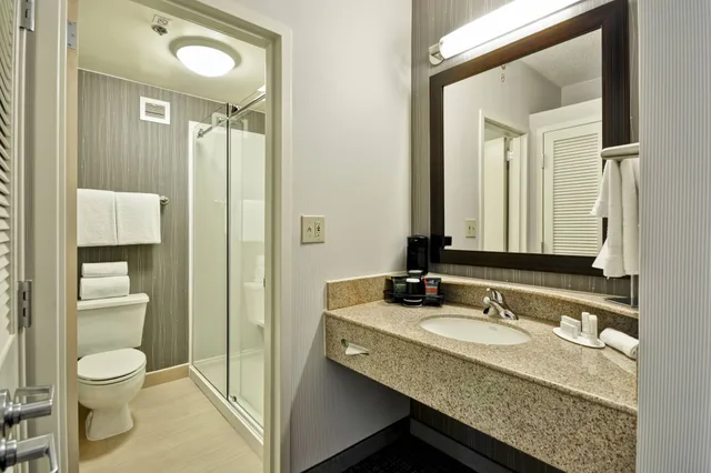 Room, King Bed, Sofa, Courtyard By Marriott Dallas Medical Market Center 3/5