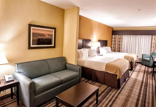 جناح بسريرين كوين، Holiday Inn Express Hotel Suites Natchez South 1/2