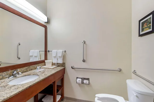 جناح، Comfort Suites Normal University Area, IL 4/6