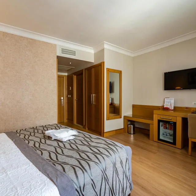 غرفة قياسية بسرير مزدوج أو سريرين منفصلين، Levent Hotel 6/10