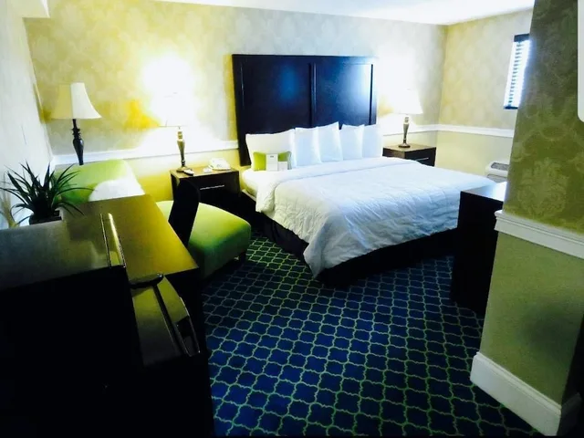 غرفة قياسية بسرير كينج، RODEWAY INN LOGAN INTERNATIONAL AIRPORT 7/7