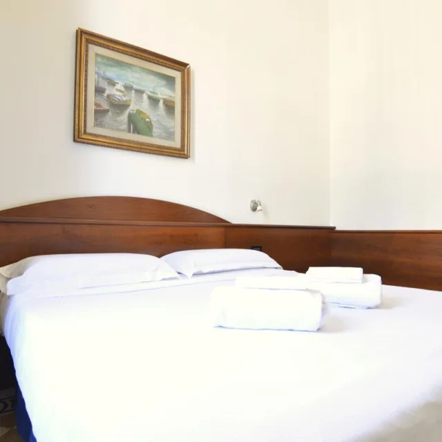 غرفة اقتصادية بسرير كينج، Palazzo Vecchio Hotel 2/10