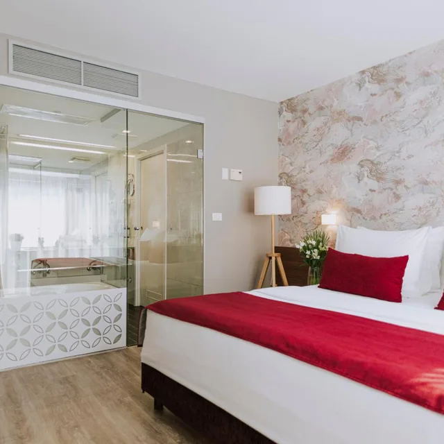 جناح ديلوكس بشرفة، SPA AND SPORT RESORT SVETI MARTIN 1/9
