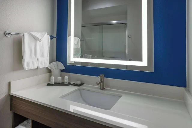Studio, King Bed, La Quinta Inn and Suites by Wyndham Valdosta 3/4