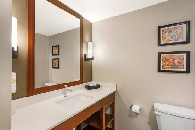 Efficiency, Suite, King Bed، Comfort Inn & Suites Gap Amish Country 2/3