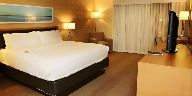 غرفة بسرير كينج لذوي الإعاقة، Envision Hotel And Conference Center Mansfield Foxboro 1/1