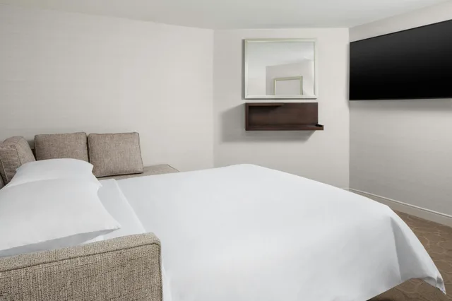 جناح جونيور، Delta Hotels by Marriott Philadelphia Airport 2/3