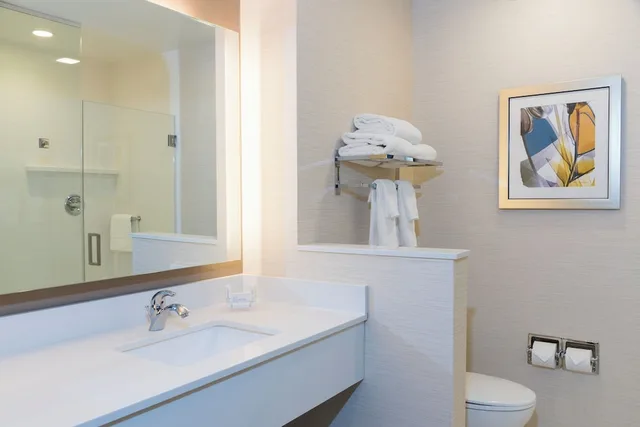 استوديو بسرير كينج مع أريكة، Fairfield Inn & Suites by Marriott Indianapolis Fishers 5/5