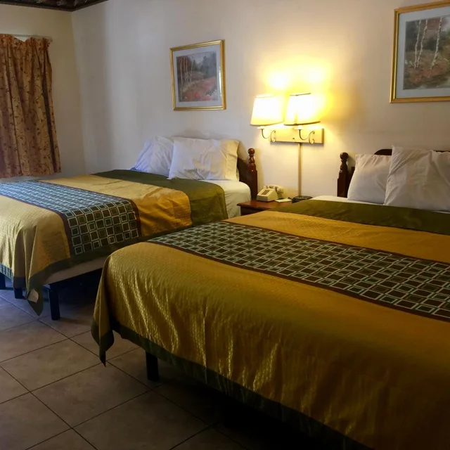 غرفة سوبيريور بسرير كينج، Texas Inn and Suites - Rio Grande Valley 1/10