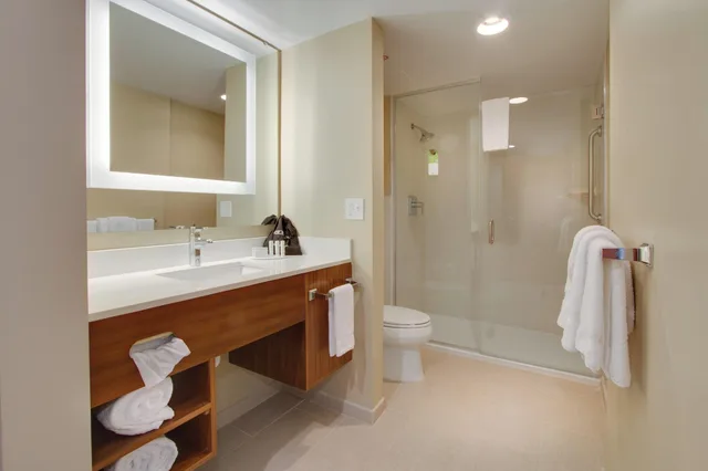 استوديو بسرير كينج، SpringHill Suites Orlando Lake Buena Vista South 2/3