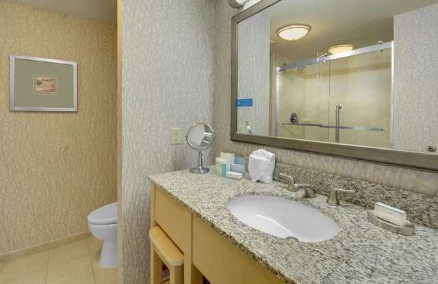 غرفة إليت بسرير كينج، Hampton Inn Suites By Hilton Miami Brickell Downtown 5/8