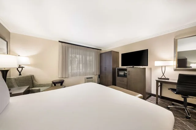 غرفة قياسية بسرير كينج لذوي الإعاقة، Best Western Danville Sycamore Inn 1/3