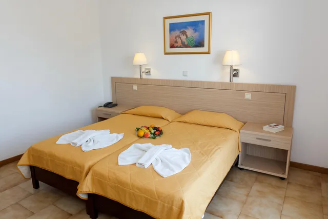 غرفة قياسية بسريرين منفصلين، Saint Nicholas Hotel Samos 1/1